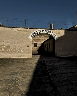 Medium untitled design